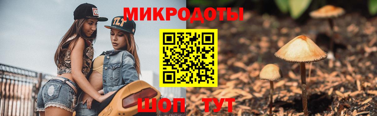 Псилоцибиновые грибы мицелий Кыштым