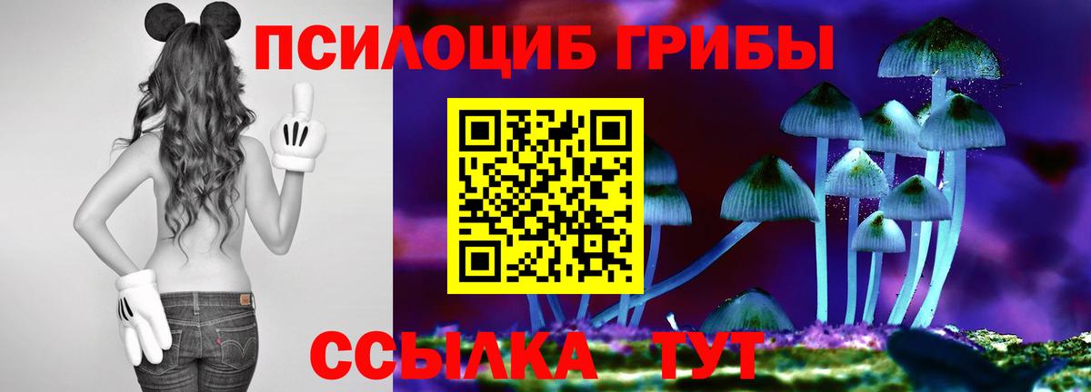 Кыштым  Псилоцибиновые грибы Psilocybe  Вход с VPN  Псилоцибиновые грибы Psilocybine cubensis 